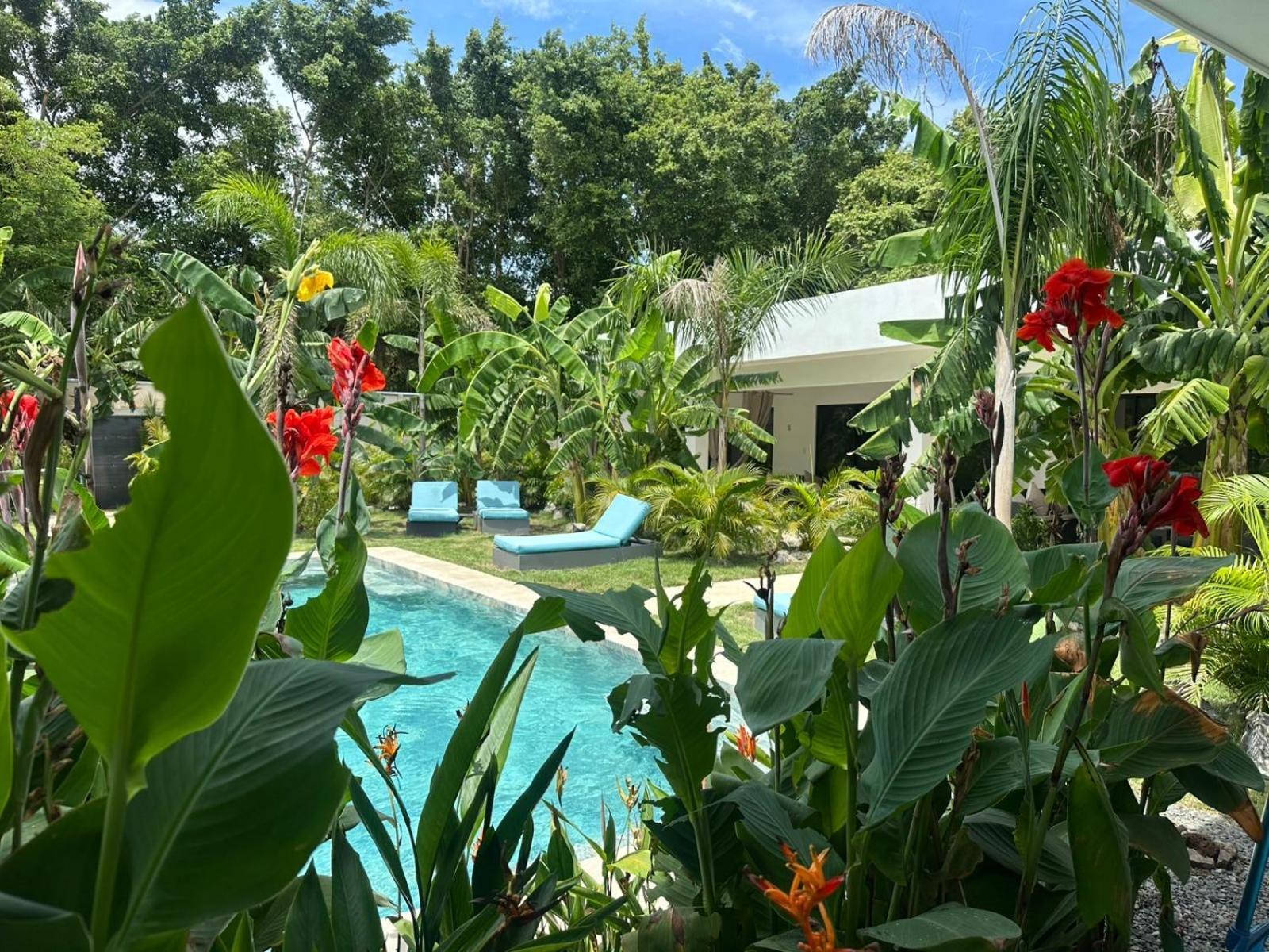 Hotel Good Life 科克 外观 照片