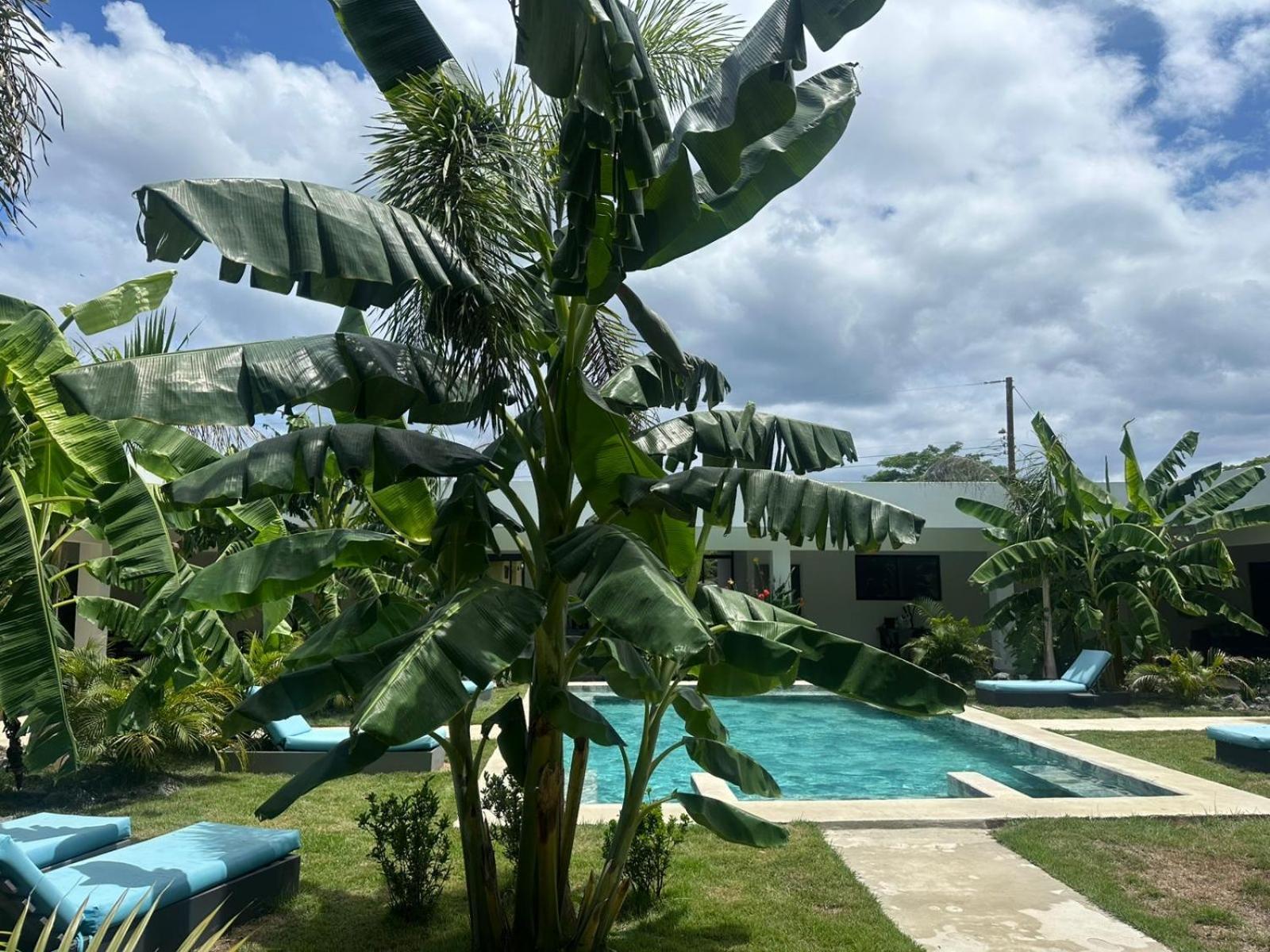 Hotel Good Life 科克 外观 照片
